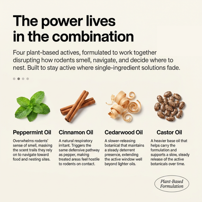 Rodentix - 4 Powerful Oils. Unbearable For Mice.